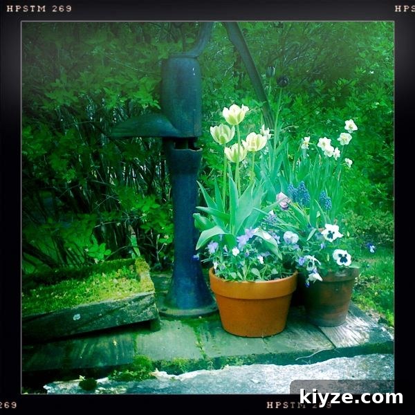 featured 1311