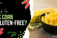 Is Corn Gluten-Free? What You Need to Know About Corn and Gluten