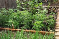14 Garden Benefits That Will Inspire You to Start One Today