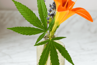 How to Sober Up Quickly After Getting Too High