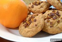 Orange Chocolate Ribbon Cookies Recipe — Zesty Cocoa Swirls