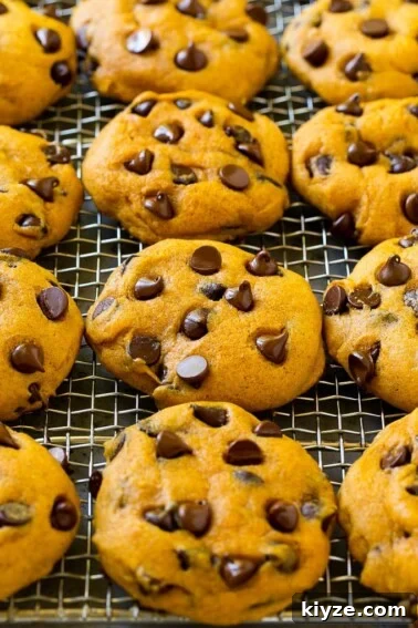 No-Bake Avalanche Cookies Recipe — Quick No-Oven Treat 2 Pumpkin chocolate chip cookies on a cooling rack.