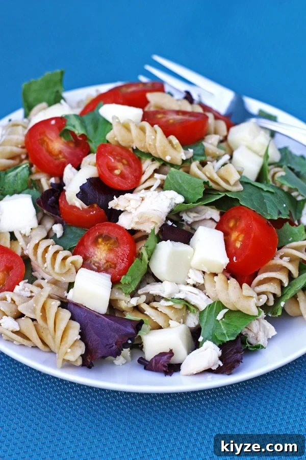 Summer Chicken Garden Pasta Salad Recipe 2 Chicken Garden Pasta Salad