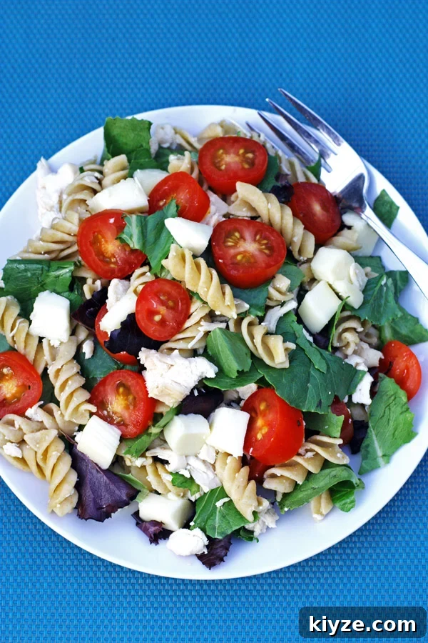 Summer Chicken Garden Pasta Salad Recipe 3 Chicken Garden Pasta Salad