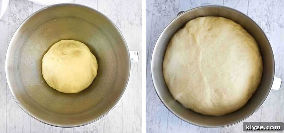 Chocolate Pecan Cinnamon Rolls — Video Recipe Guide 3 two images, dough in bowl, dough risen in bowl