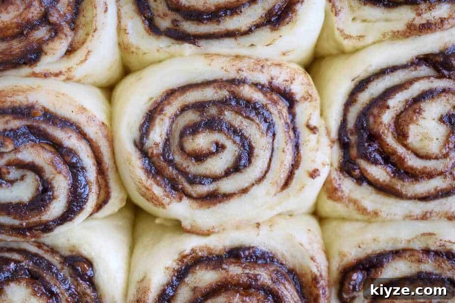 Chocolate Pecan Cinnamon Rolls — Video Recipe Guide 4 cinnamon roll dough slices in pan