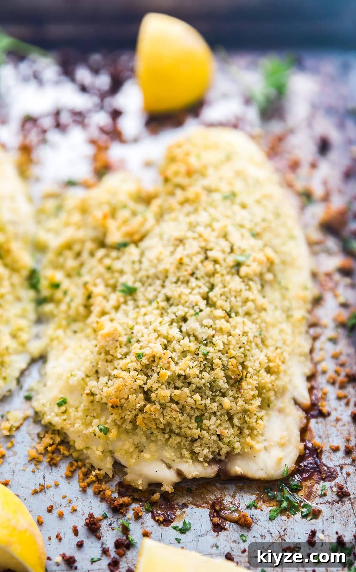 Crispy Parmesan-Crusted Fish Fillets Recipe 3 A close up image of a piece of tray baked fish.