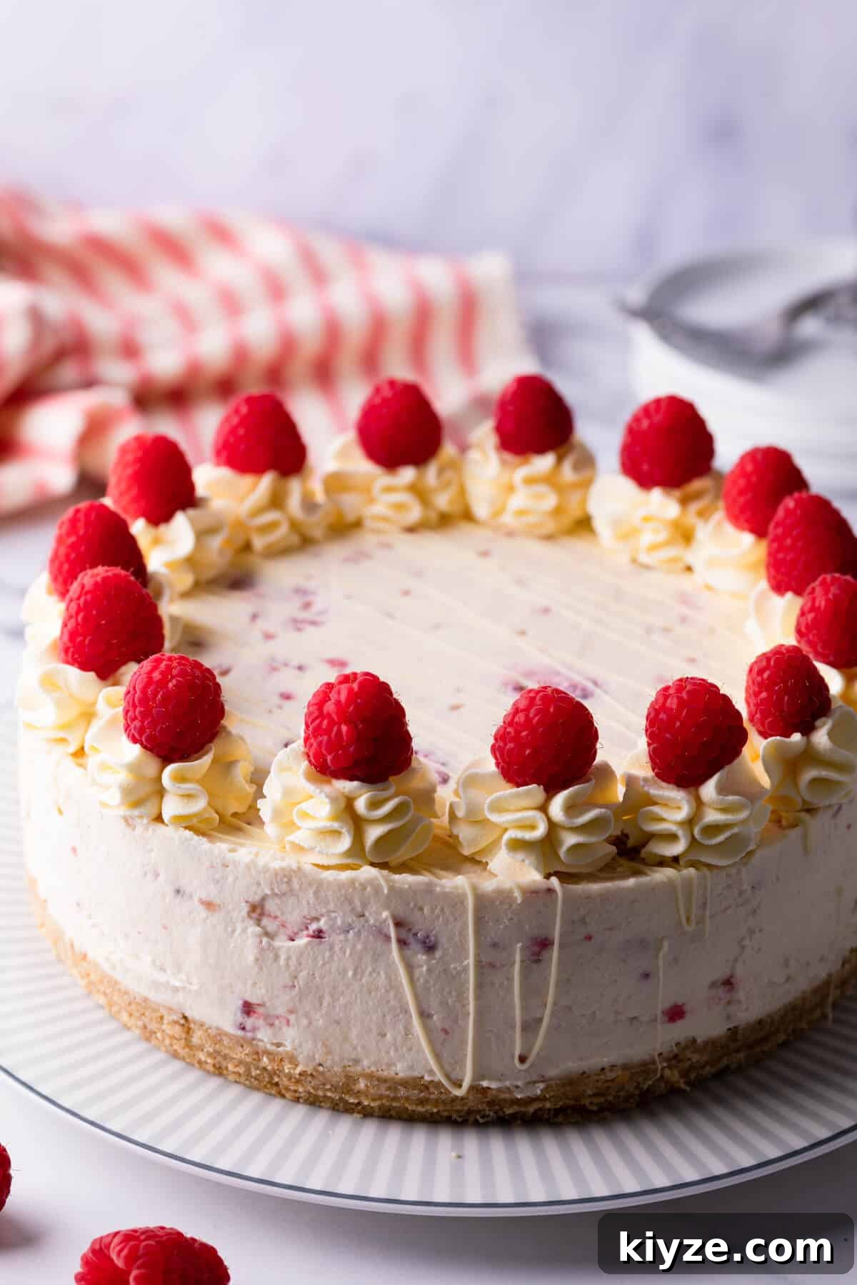 No-Bake Raspberry and White Chocolate Cheesecake Recipe 2 raspberry white chocolate cheesecake topped with whipped cream and fresh berries on a large plate.