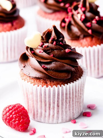 chocolate raspberry cupcake topped with dried raspberries and chocolate heart.