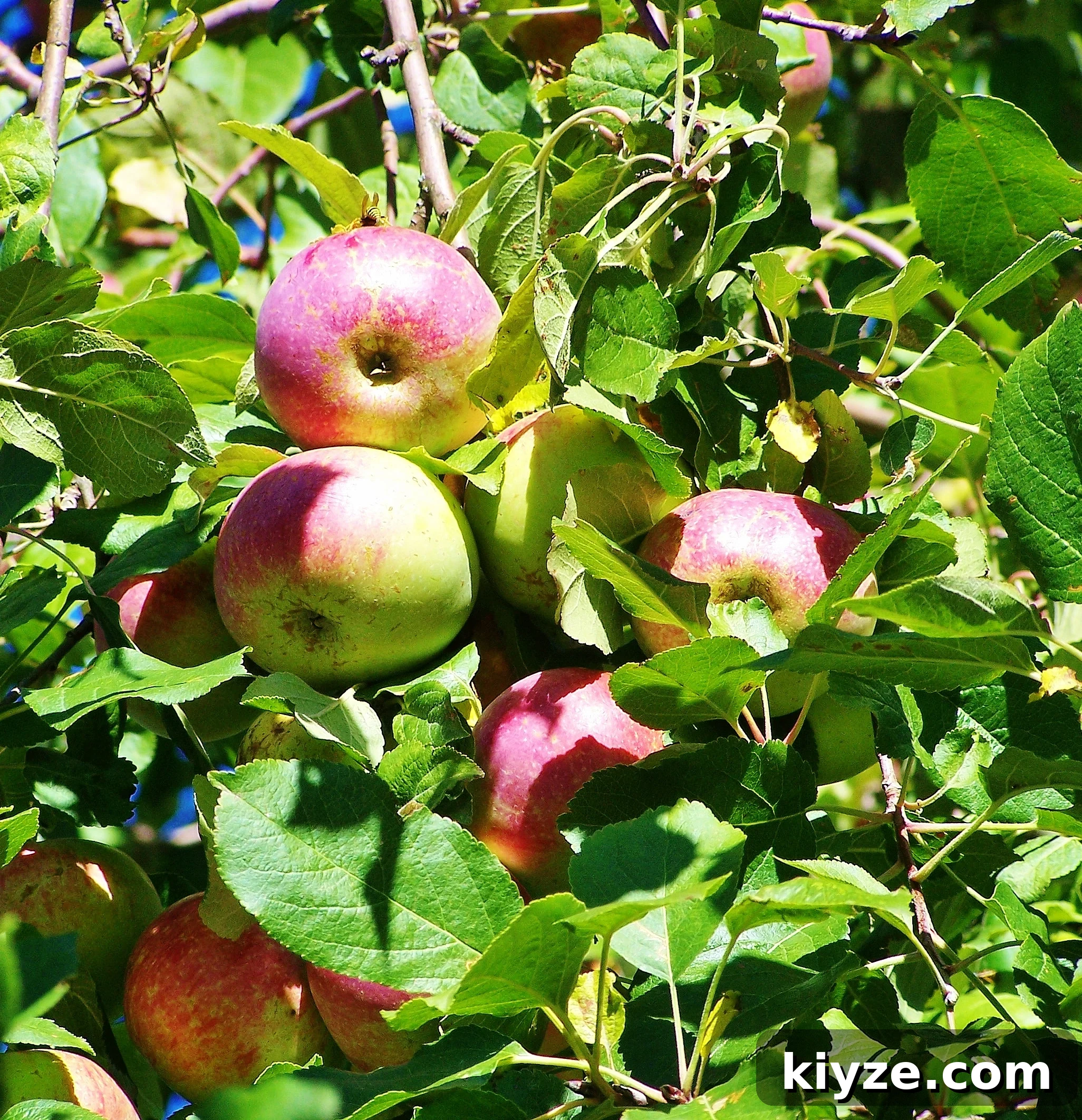 Spring Runs in My Veins: Embracing the Season's Joy 2 Spring is in my blood