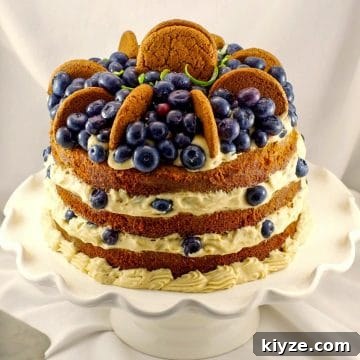 classic gingerbread cake with cookie butter filling