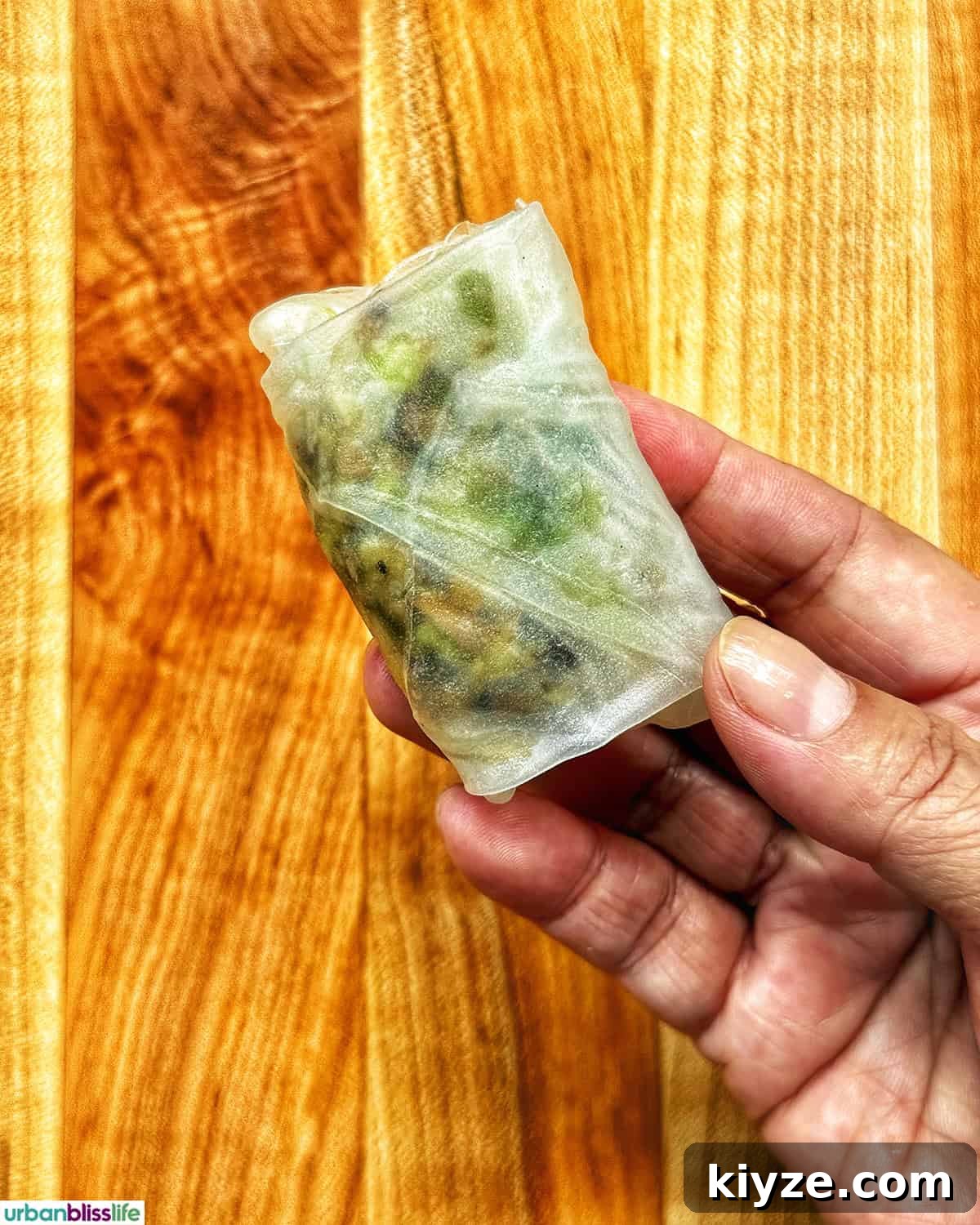 Crispy Rice Paper Dumplings with Savory Filling and Dipping Sauce 12 hand holding up a rolled rice paper dumpling.