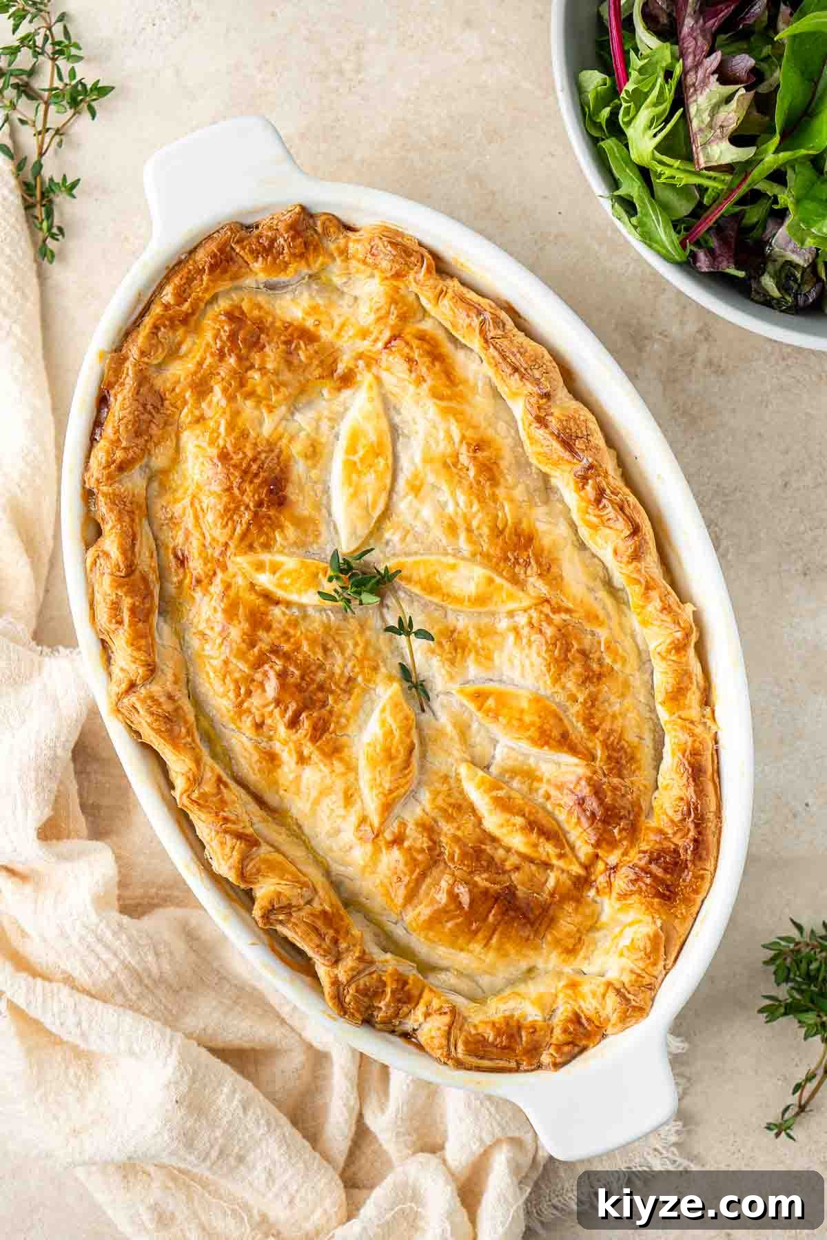 Dairy-Free Chicken Pot Pie Recipe: Creamy, Comforting Pie 2 Chicken pot pie with golden brown pastry.
