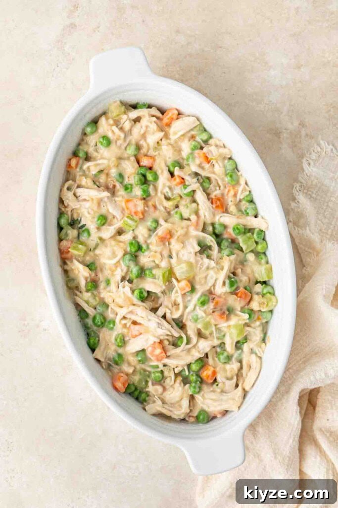 Dairy-Free Chicken Pot Pie Recipe: Creamy, Comforting Pie 7 The creamy chicken pie filling in a pie dish.
