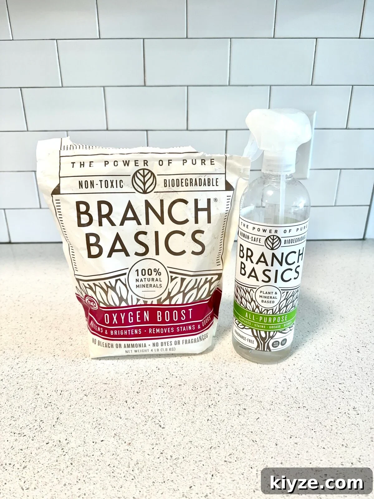I Tested 9 Non-Toxic Natural Stain Removers That Actually Work 6 best non toxic stain removers on TheFiltery.com Branch Basics