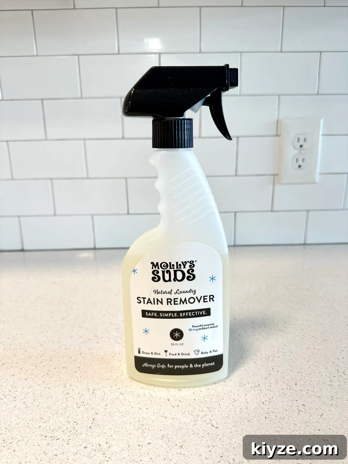 I Tested 9 Non-Toxic Natural Stain Removers That Actually Work 9 Best pet stain remover spray on TheFiltery Molly's Suds