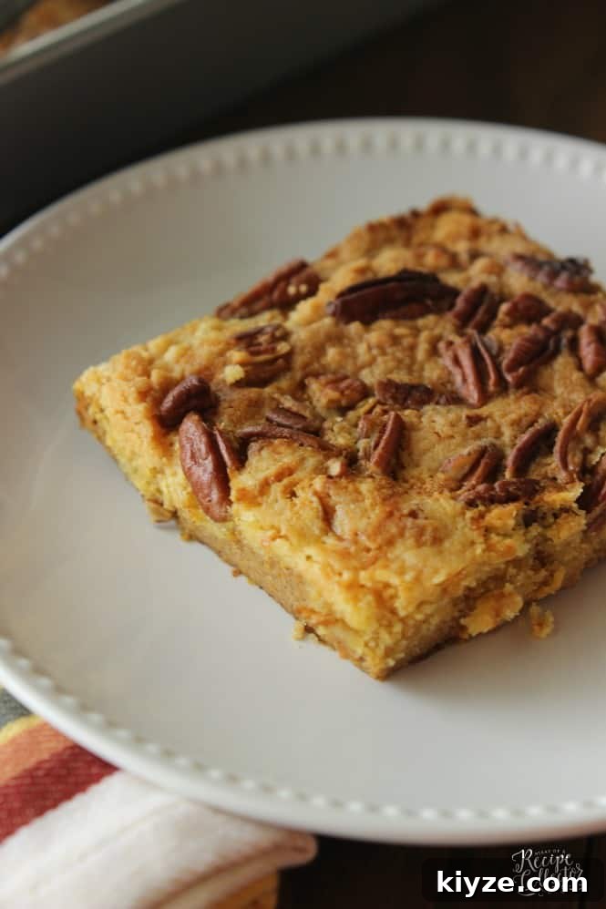 Family Meal Plan Week 102: 7 Dinners for Busy Families 10 img 12518 9