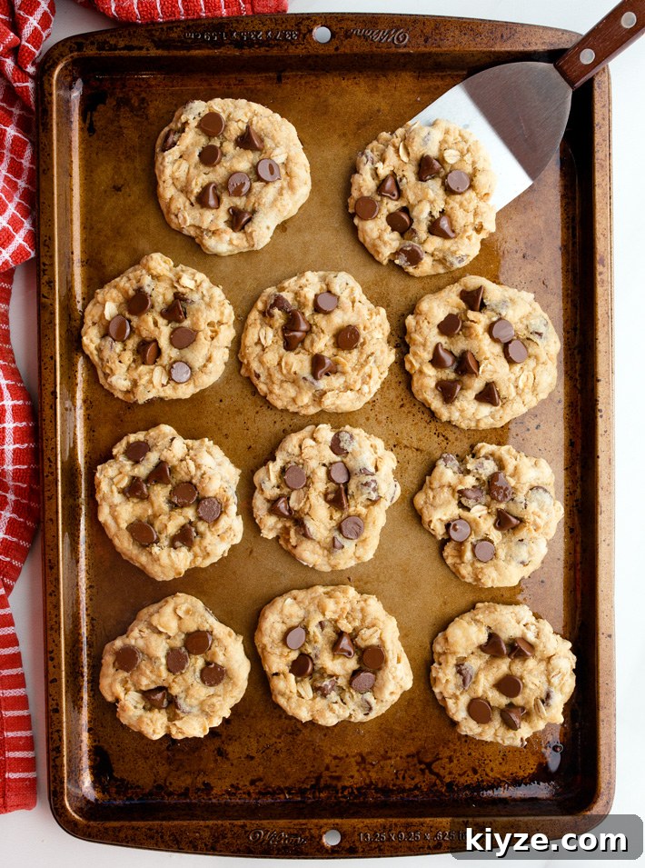 Healthy Oatmeal Cookies
