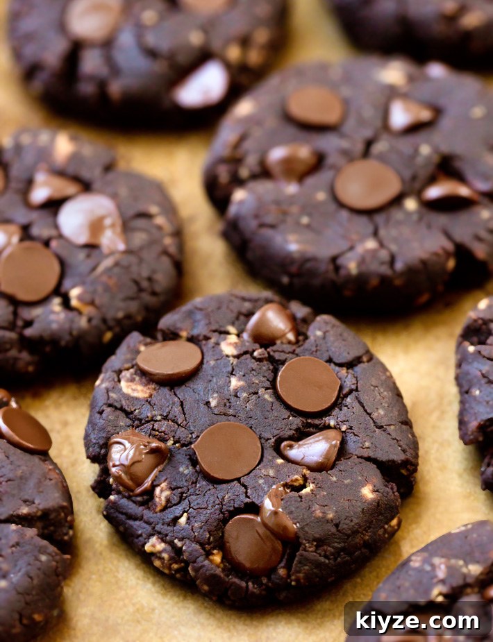 Chocolate Protein Cookies
