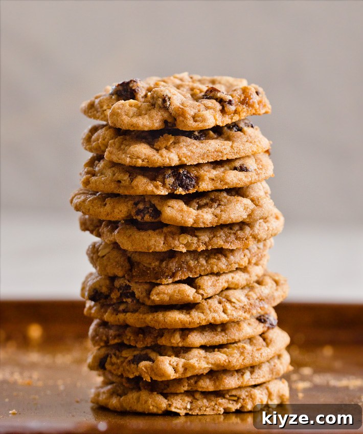 Vegan Oatmeal Raisin Cookies