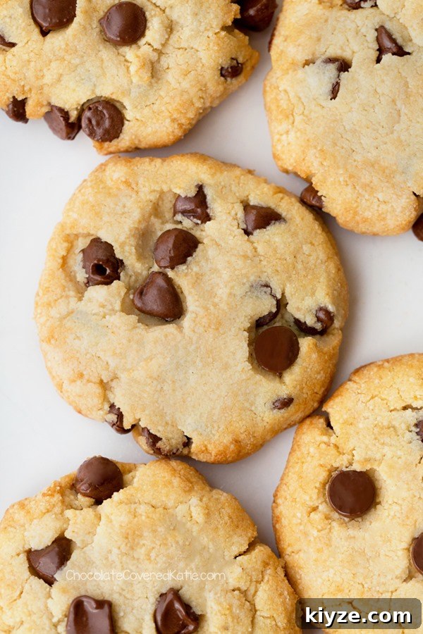 Sugar Free Chocolate Chip Cookies