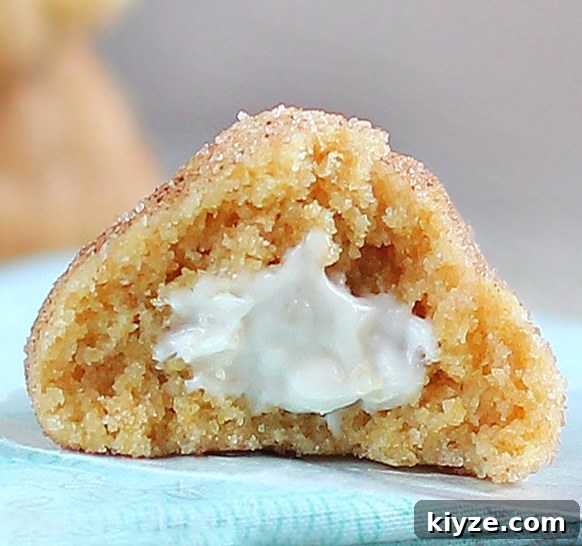 Cinnamon Sugar Pillow Cookies