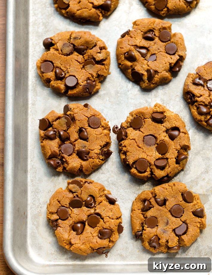 The Best Pumpkin Protein Cookies