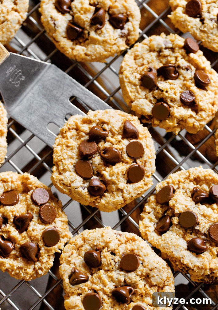 Flourless Oatmeal Chocolate Chip Cookies