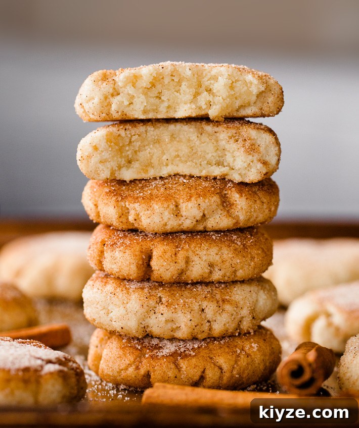 vegan snickerdoodle cookies