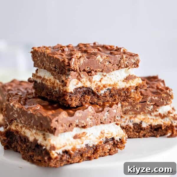 Hazelnut Buckwheat Brownies Recipe with Crispy Edges 9 Peanut Butter Rice Krispie Brownies