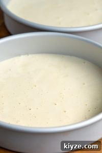 Milk ’n Berries: Porto’s Tres Leches Cake Copycat Recipe 11 Baked cakes