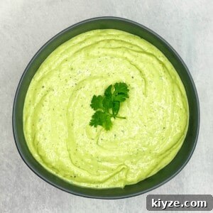 Creamy Avocado Lime Ranch Dressing Recipe 6 avocado lime ranch dressing in a bowl