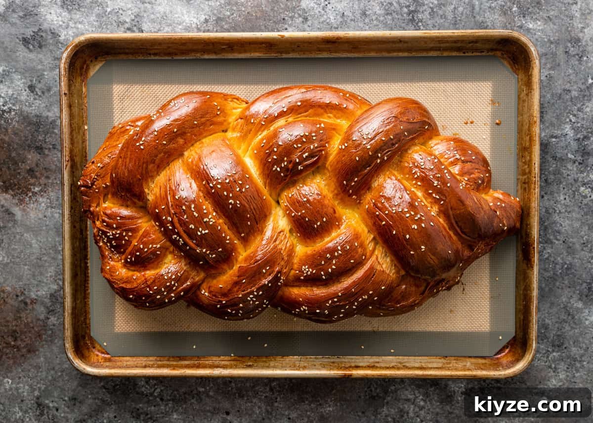 Classic Fluffy Challah Recipe for Braiding and Baking 13 overhead: challah bread on sheet pan on table