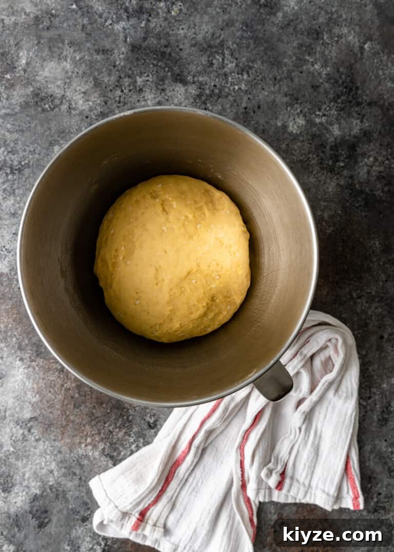 Classic Fluffy Challah Recipe for Braiding and Baking 6 1st rise