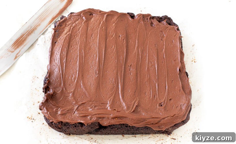 Decadent Chocolate Frosted Brownies Recipe 10 frosted brownies with chocolate frosting