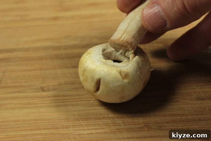 Smoked Pulled Pork-Stuffed Mushrooms Recipe 5 img 15373 6