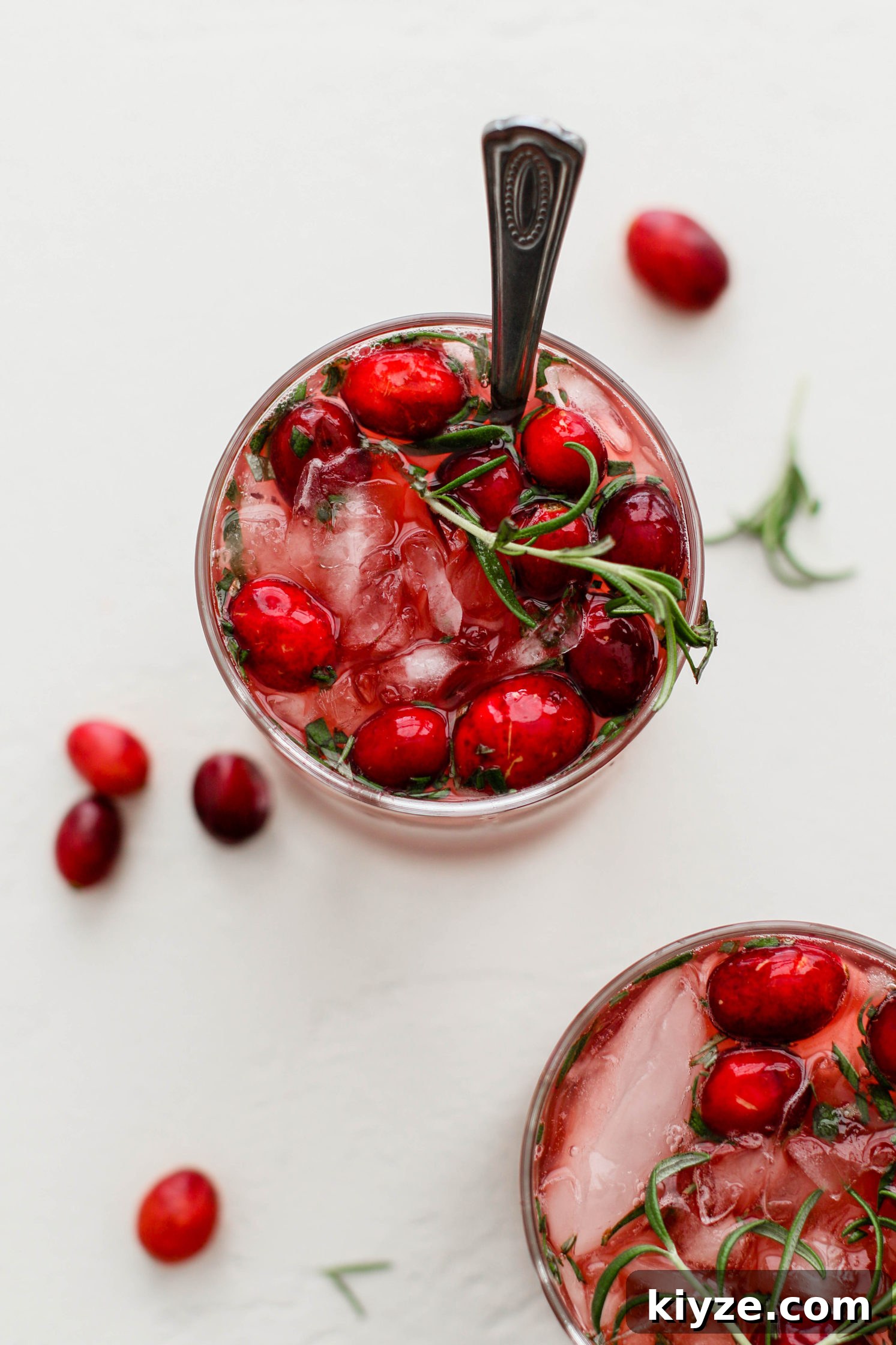 Cranberry Pomegranate Kombucha Mocktail Recipe 2 img 15629 1