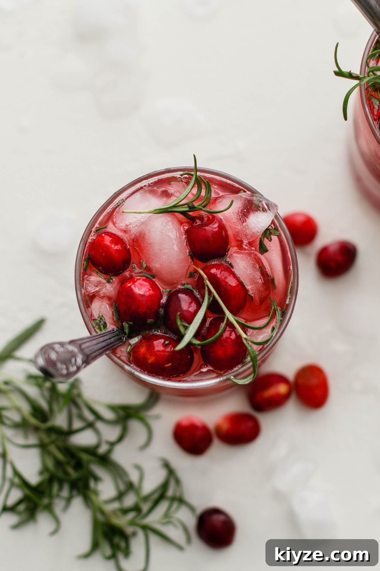 Cranberry Pomegranate Kombucha Mocktail Recipe 5 Cran-Pomegranate Kombucha Mocktail