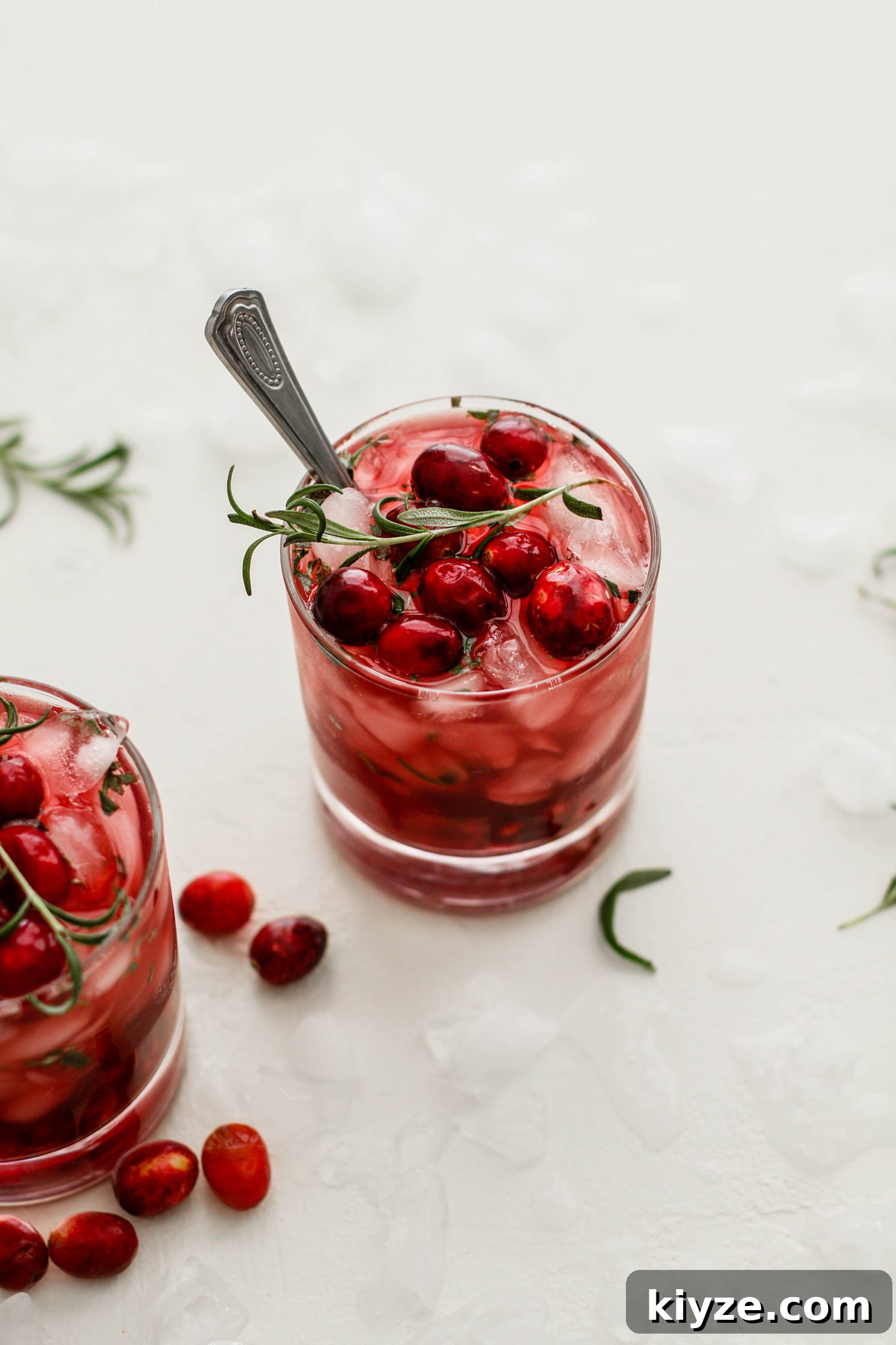 Cranberry Pomegranate Kombucha Mocktail Recipe 6 Cran-Pomegranate Kombucha Mocktail