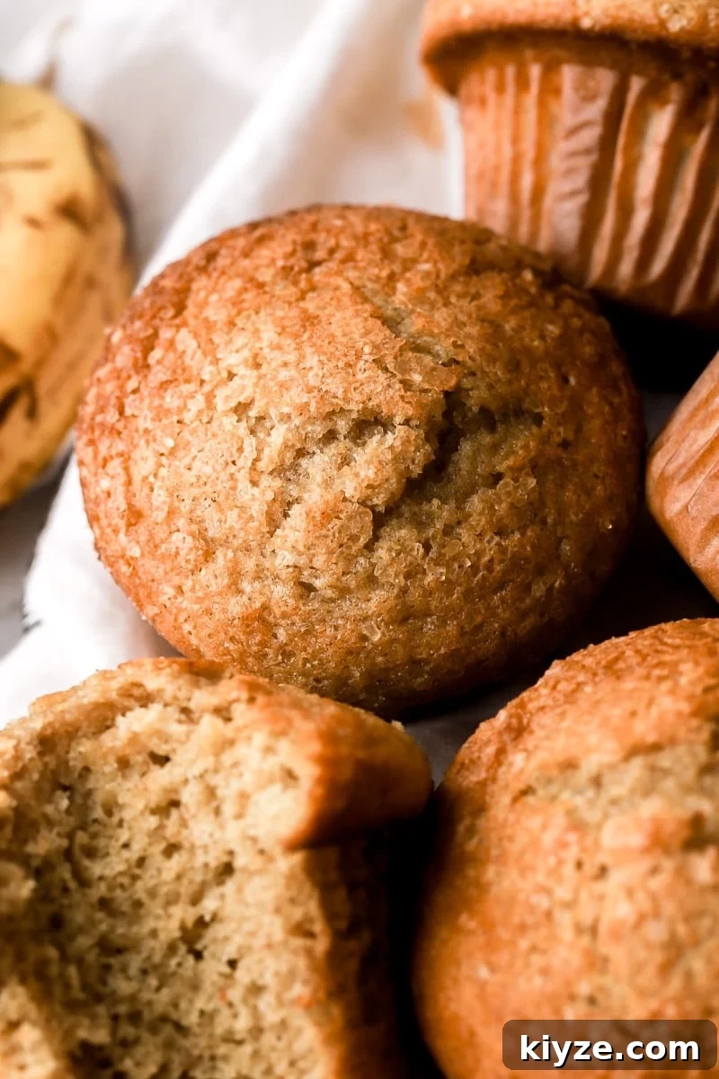Moist Banana Bread Muffins with Chocolate Chips 11 close up of banana bread muffin top