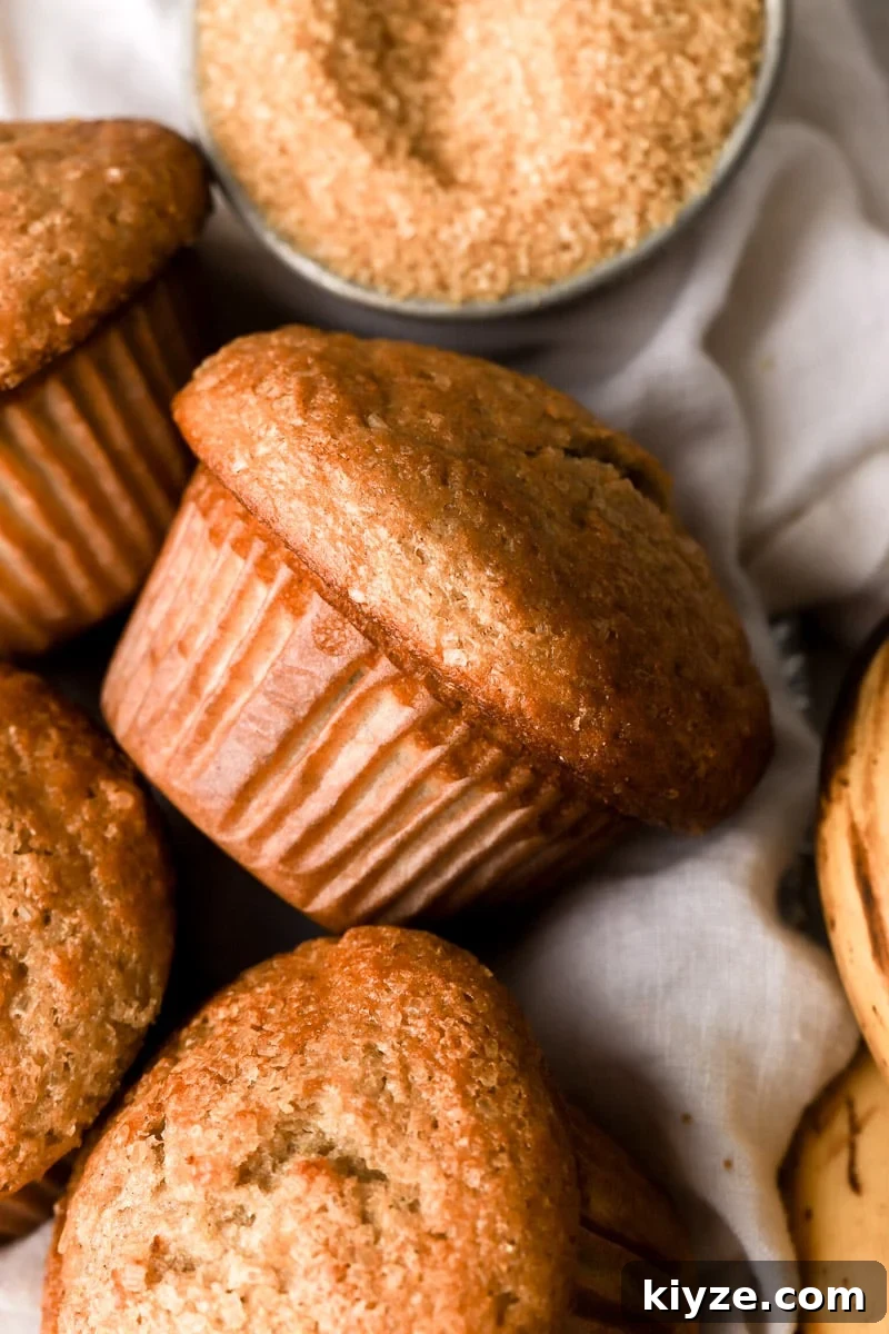 Moist Banana Bread Muffins with Chocolate Chips 9 banana bread muffins topped with raw sugar