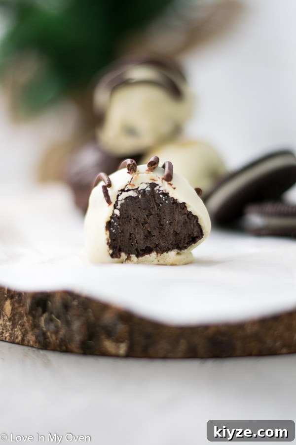 3-Ingredient Oreo Truffles Recipe: Creamy Chocolate Truffles in Minutes 9 3 ingredient oreo truffles