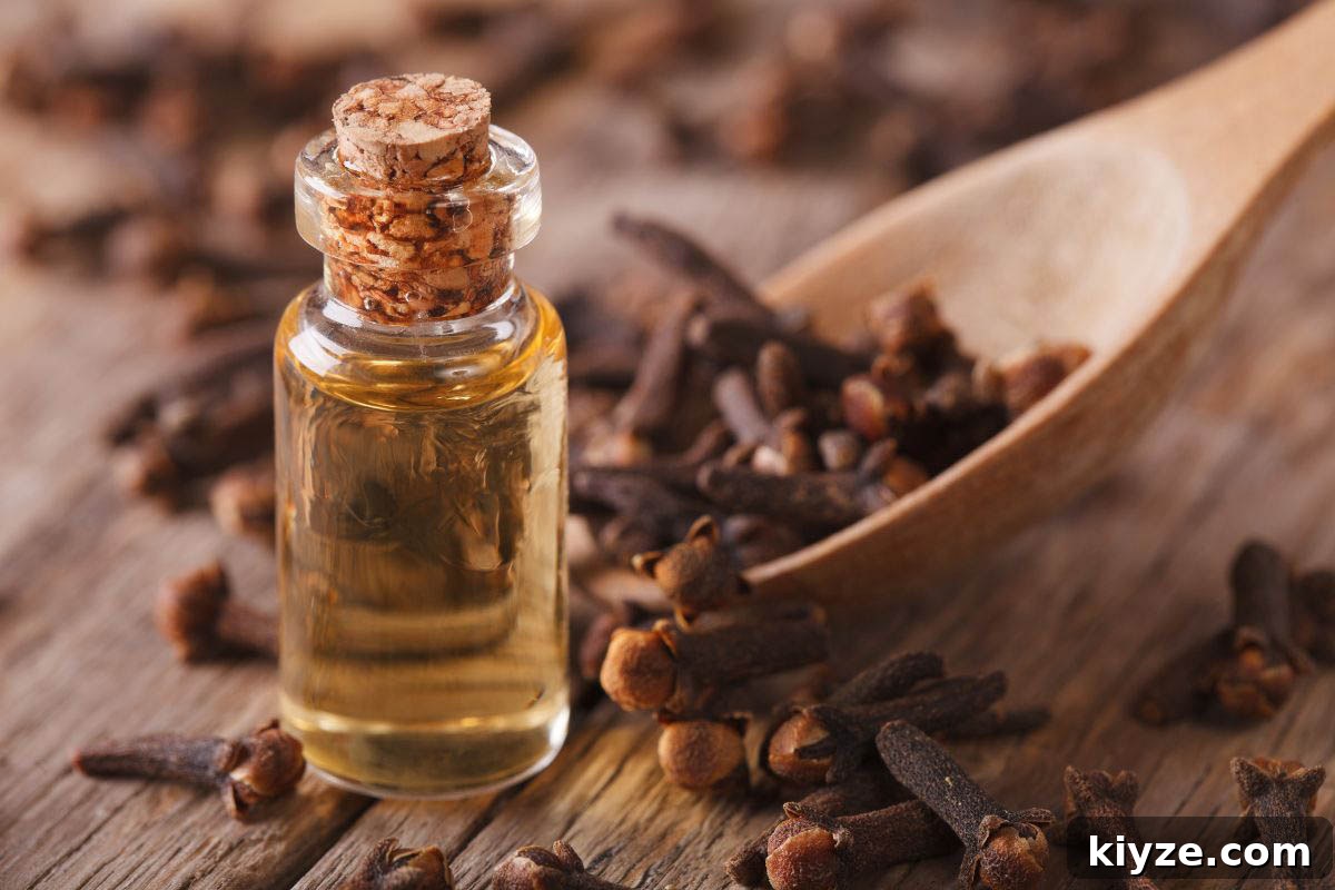 DIY Natural Oil Blend for Toothache Pain Relief 5 Clove oil for toothache pain infection.