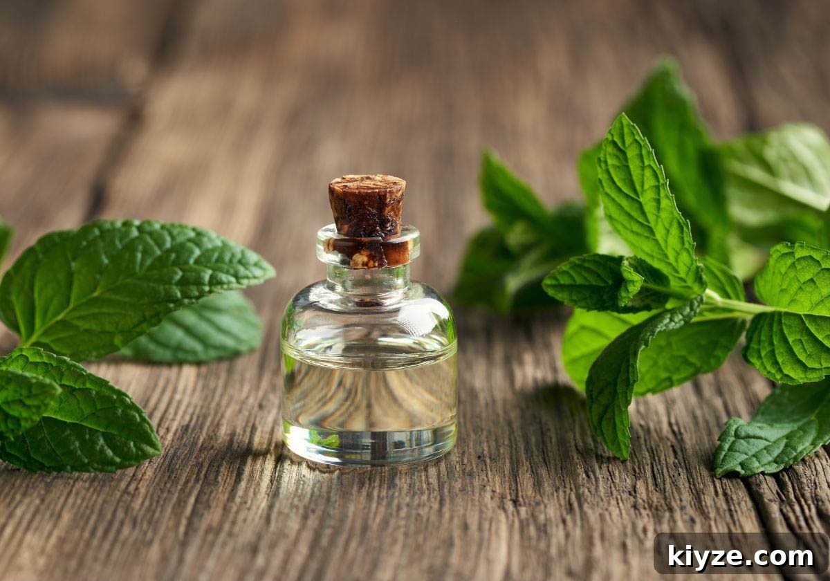DIY Natural Oil Blend for Toothache Pain Relief 7 Peppermint oil for tooth pain