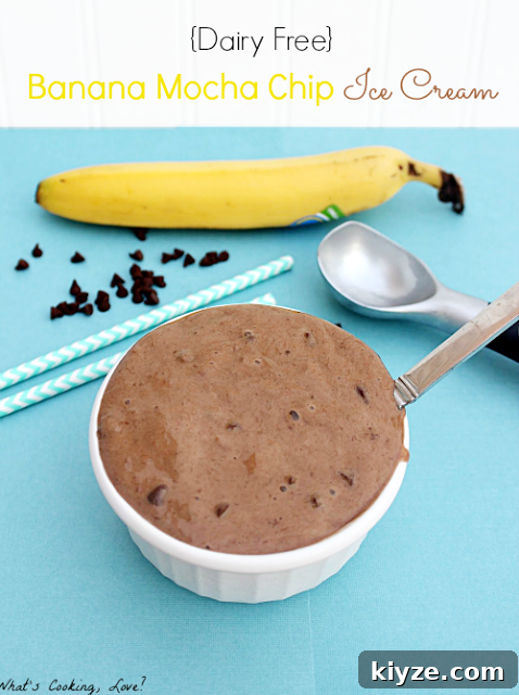 15 Refreshing Homemade Ice Cream Recipes for Summer 11 Banana Mocha Chip Ice Cream