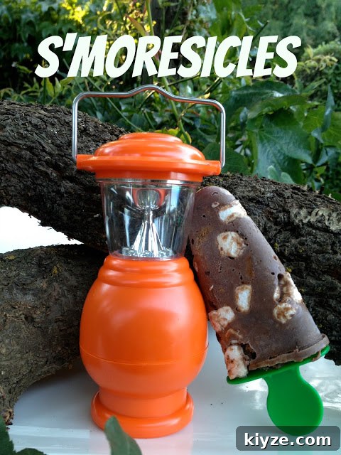 15 Refreshing Homemade Ice Cream Recipes for Summer 14 s'mores ice cream popsicles