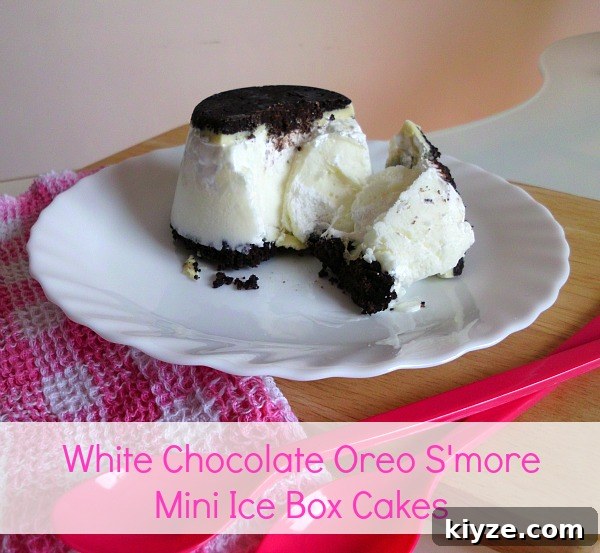 15 Refreshing Homemade Ice Cream Recipes for Summer 15 White-Chocolate-Oreo-Smore-Mini-Ice-Box-Cakes