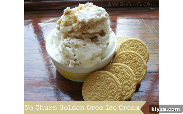 15 Refreshing Homemade Ice Cream Recipes for Summer 7 No-Churn-Golden-Oreo-Ice-Cream