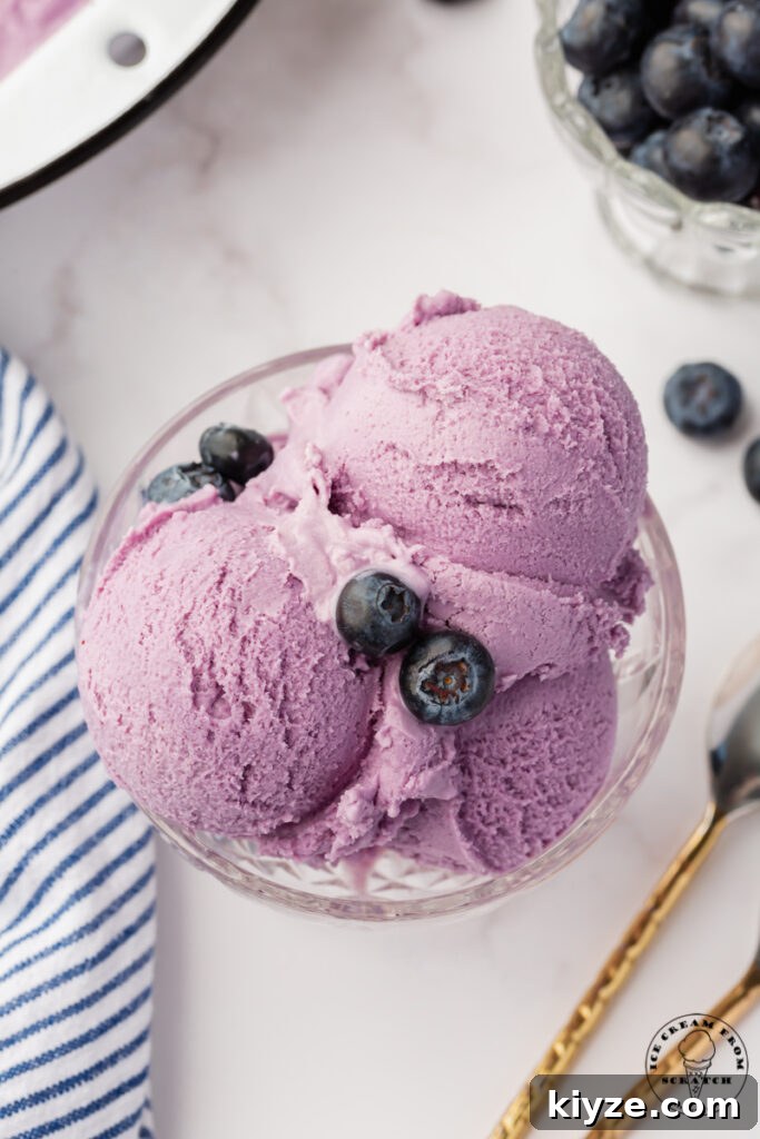a footed glass dish filled with three scoops of purple blueberry ice cream, with two berries on top. Viewed from above