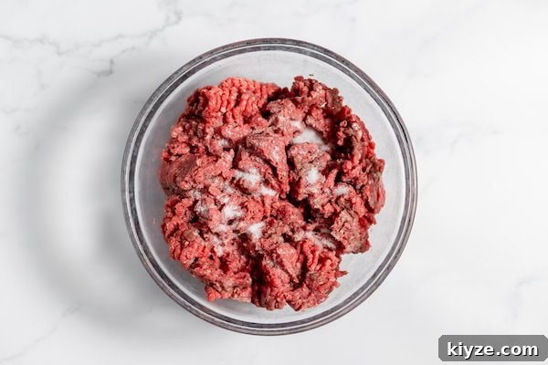 How to Can Venison Safely: Step-by-Step Guide for Beginners 6 a bowl with ground venison and salt